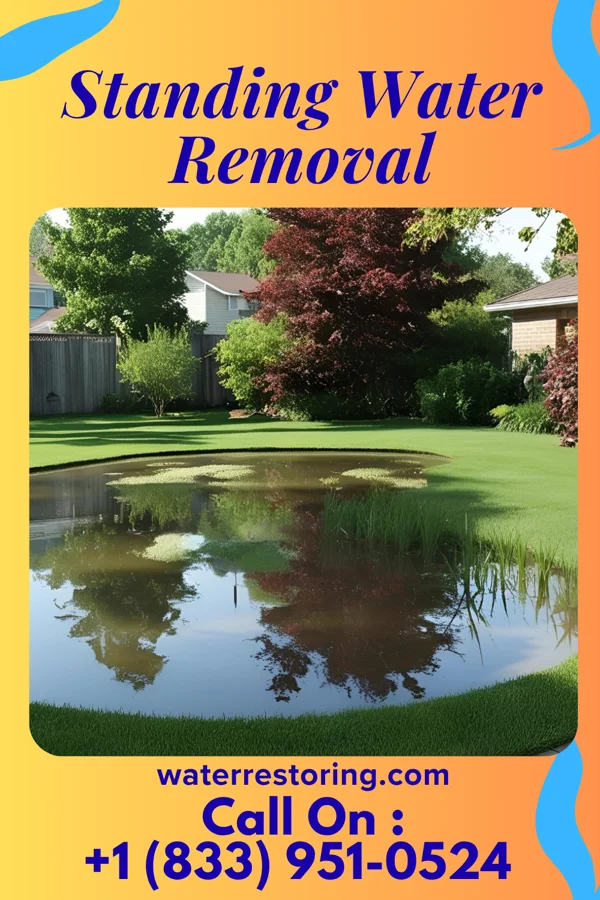Standing Water Removal in Granville, OH